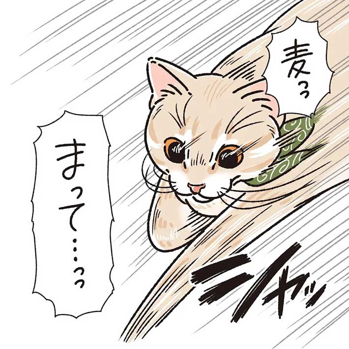 赤ちゃんに飛びかかった猫 その後の行動に「キュンとしてしまった」 https://t.co/EKaKuaz22c @grapeejpより 