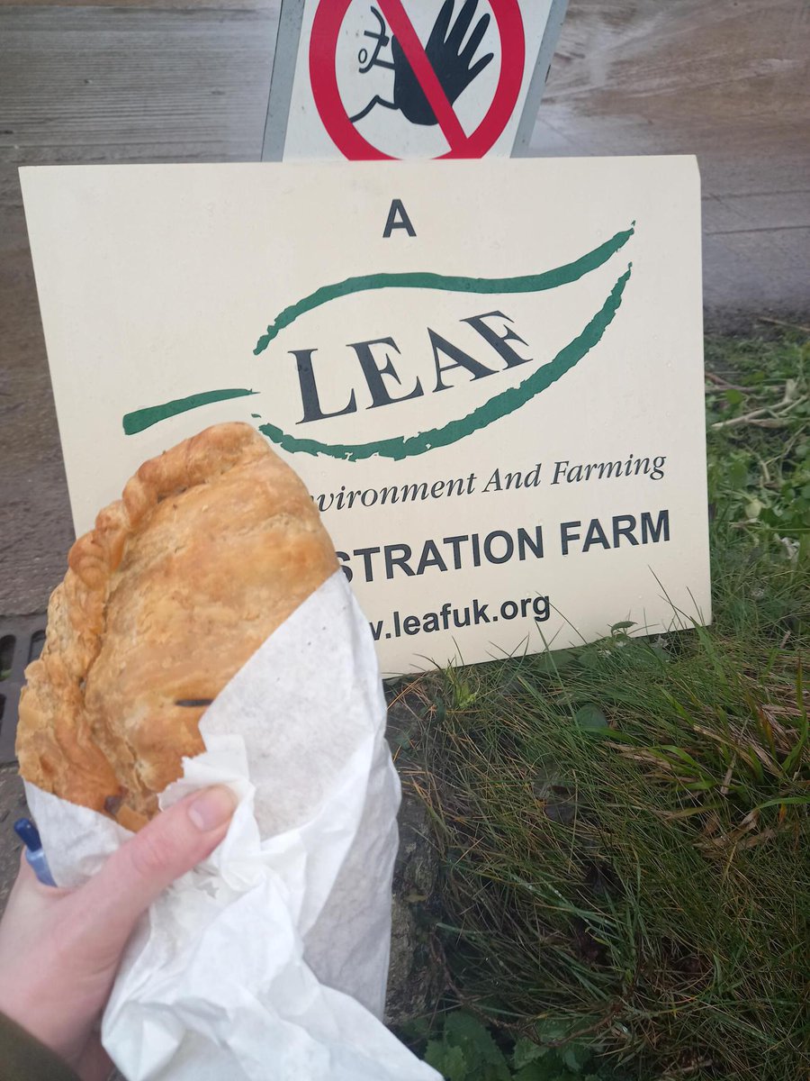 LEAF tweet media