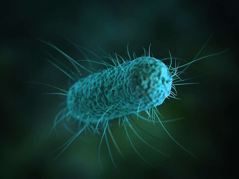 NewsMedical's tweet image. A novel approach for analyzing foodborne zoonotic E. coli news-medical.net/news/20230329/… @GWtweets @UMich @UMNews @UofMaryland #foodborne #zoonotic #infection #infections #genetics #ecoli