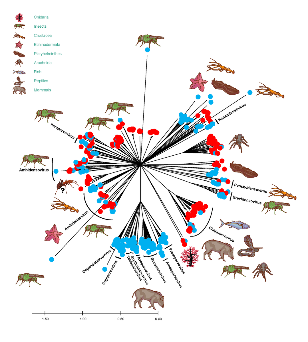[#phimscience] 🐜🦠🌿🥩What if #ArmyAnts were the key to monitoring the #viruses of tomorrow and predicting future #emergence? A must read recommended by <a href="/PeerCommunityIn/">Peer Community In</a> and published in <a href="/PeerComJournal/">Peer Community Journal</a>

✅Read on peercommunityjournal.org/articles/10.24…