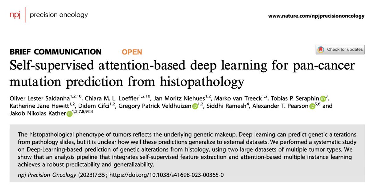 jnkath's tweet photo. Happy to share our new article @Nature_NPJ: we show that #AI can detect mutations from histopathology in several cancer types. For the first time, we validate *all* of our predictions in an external cohort. https://t.co/6QNQqTH7uD @lester_saldanha @EKFZdigital @NCT_HD @NCT_UCC_DD https://t.co/dztabYGiXB