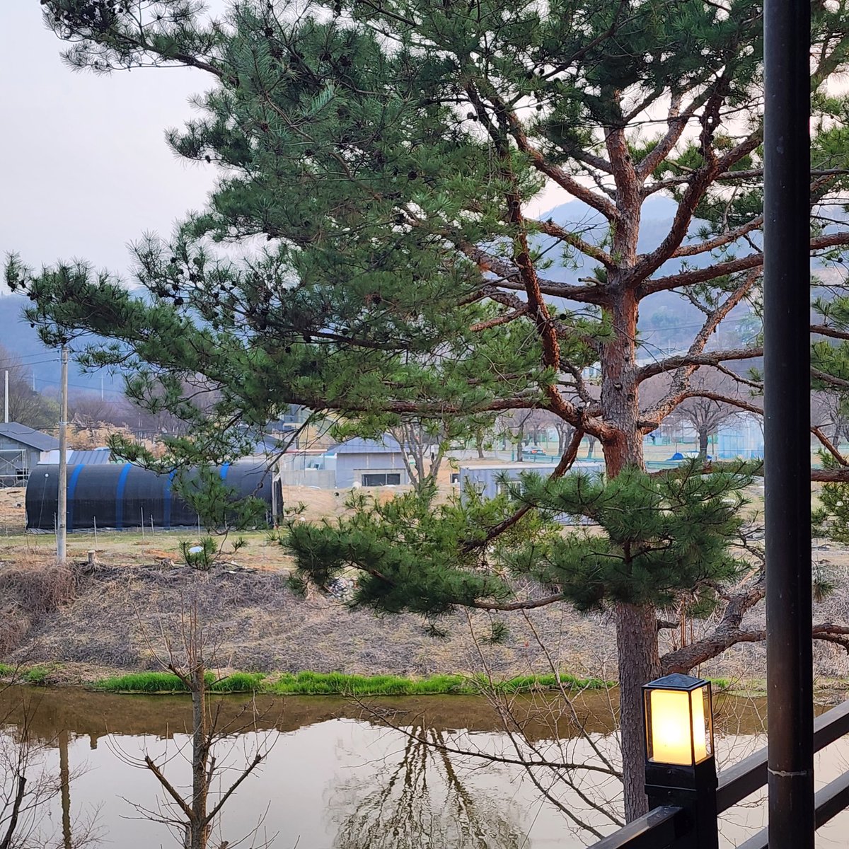 dongerami__'s tweet photo. #천안 #섹트 #건오
간만에 카페 🌿 https://t.co/JI5KdyRroQ