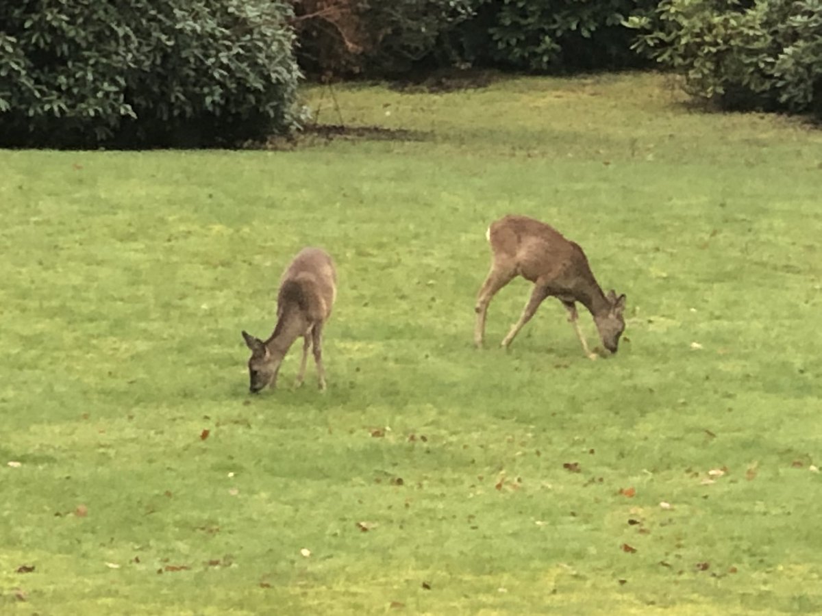 Gary Numan tweet media
