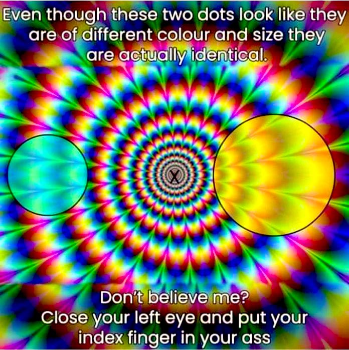 chief420247's tweet image. Seriously guys??? That didn’t work at all… 😏😂🤣😂🤪 #dontbefooled 🤣🤣😵‍💫