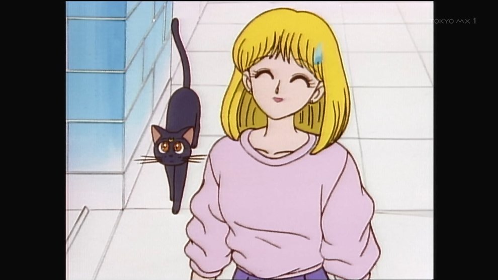 セーラームーン R コマ 美少女戦士セーラームーンR