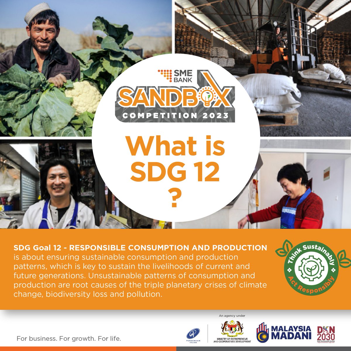 Do you have an innovative idea that has the potential to be a business venture, while creating a better tomorrow? Join the SME Bank Sandbox Competition now. All you have to do is convince us how your business idea can be linked to UN SDG 12 and win prize worth RM160,000