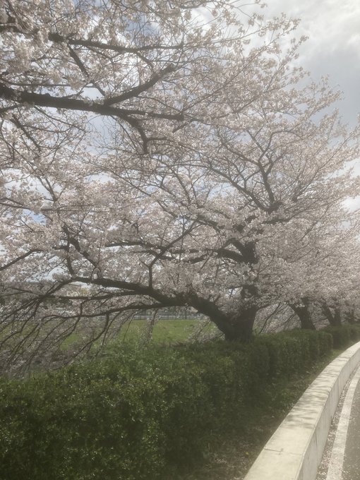 ちょっと家に帰れなくなった……ﾀﾊﾊ…明日、明後日くらいかな(ˉ ˘ ˉ; )愛が世界救うだなんてぼくは信じてないけどね