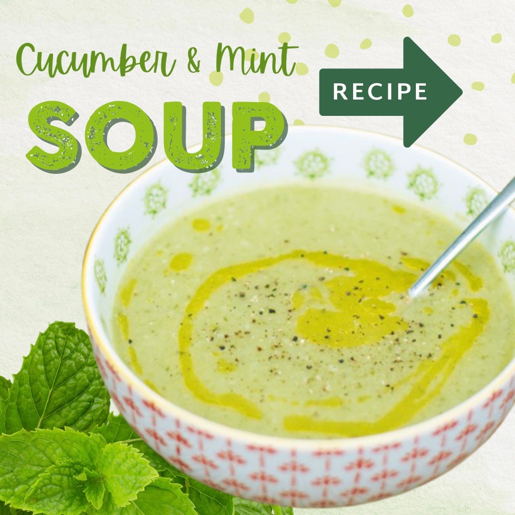 HolyLama SpiceDrops® tweet media