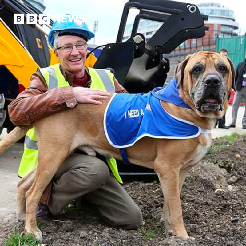 BBCNews's tweet photo. Paul O'Grady remembered as 'remarkable ambassador' for rescue animals 

Read tributes to the entertainer who has died aged 67 ⬇️