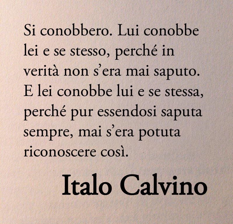 “Conobbi Calvino nel ’55. Un anno che fu poi fatale per me.”
Elsa de' Giorgi 

L’amore di Italo Calvino per l’attrice Elsa De’ Giorgi attraverso un epistolario travolgente. Lettere po­tenti, sen­suali, ca­ri­che di vita. Le let­tere ad Elsa rivelano un aspetto quasi sco­no­sciuto