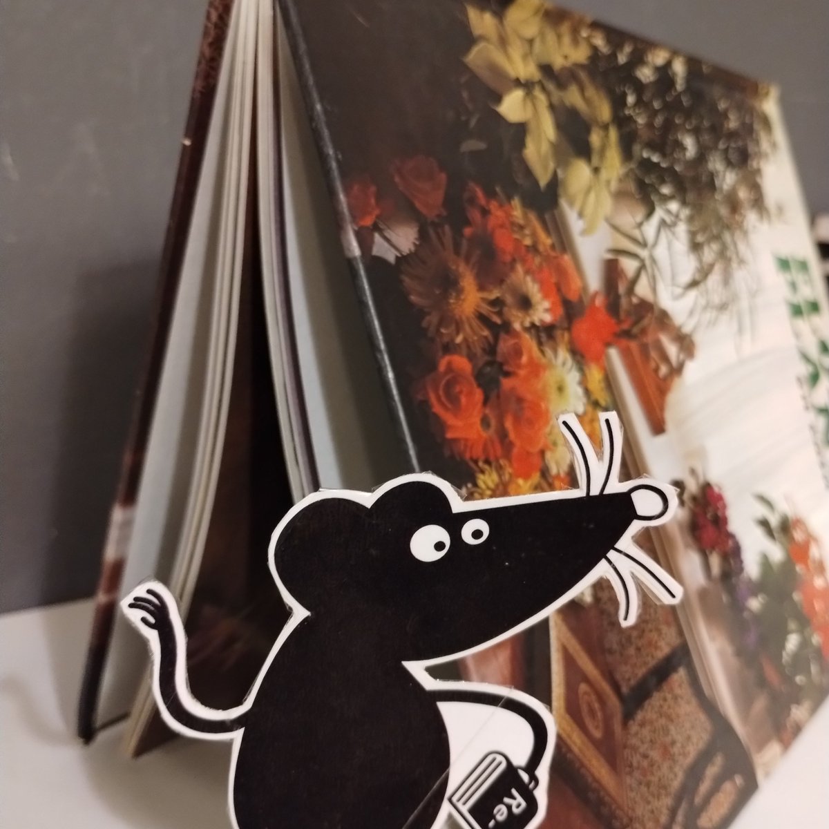ReReadTerrassa's tweet photo. "Crec que les bones novel·les són com a cases en les quals a un els agrada viure." Bioy Casares #rereadterrassa ...i tornar a Re-viure! https://t.co/qkt5Bv3XNb
