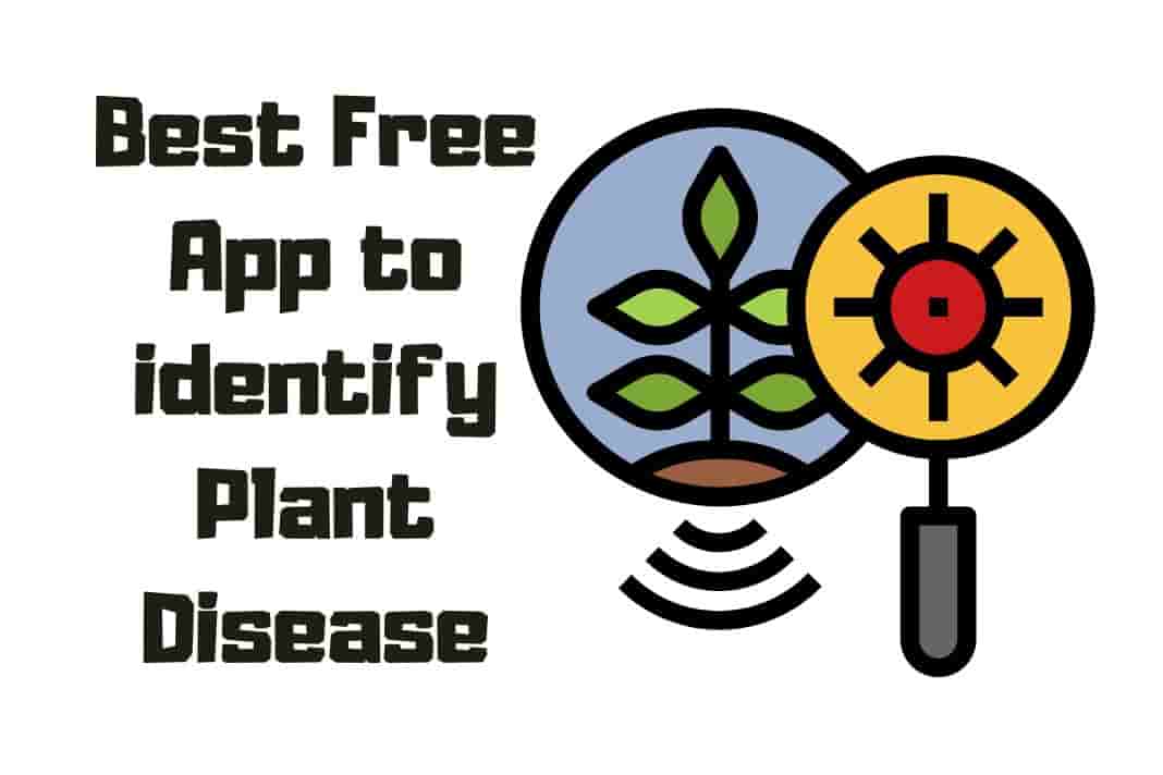 Digitalbeepk's tweet photo. Can mobile apps help you diagnose plant diseases? It's a controversial topic, but the truth is that there are some handy free tools available. #PlantDisease #PlantHealth #GardeningTips #GardeningKnowledge #PlantIdentification #FreeApp #OrganicGardening

https://t.co/dlZxxxBJNX https://t.co/ymiuretbE9