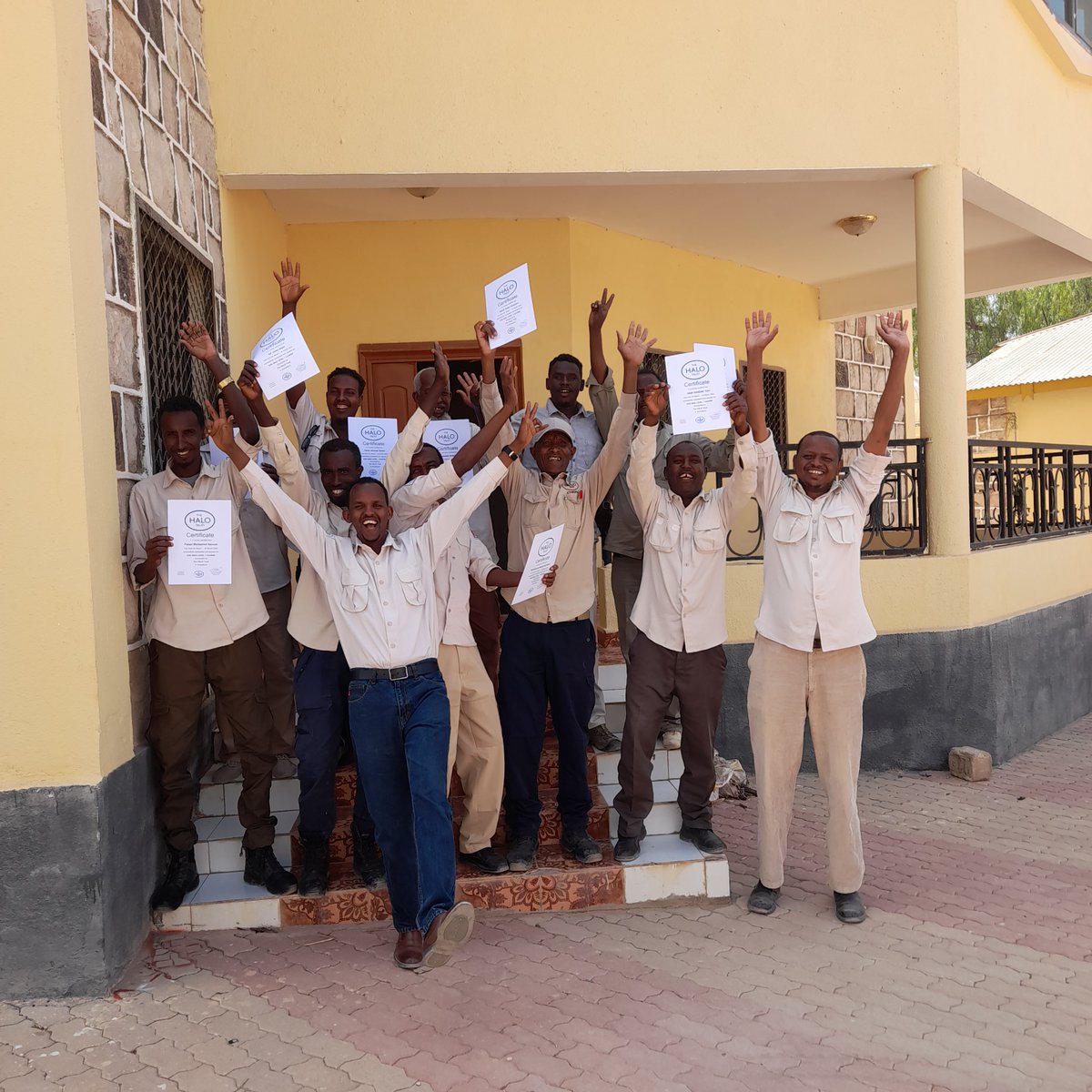 The HALO Trust tweet media