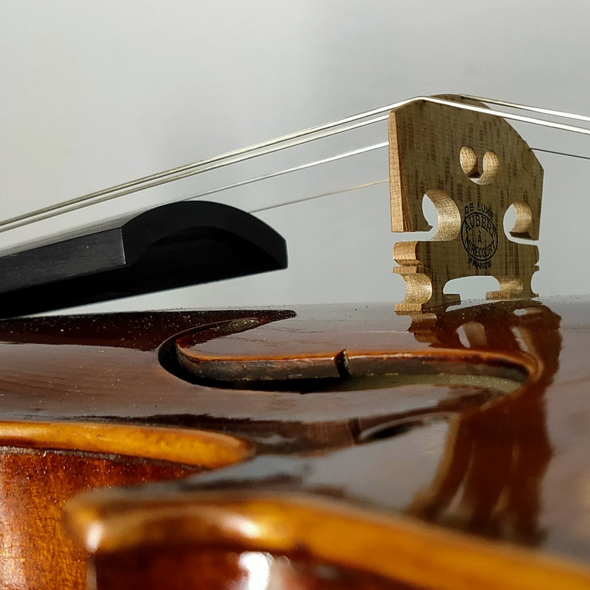 横浜フミズバイオリンショップ on Twitter "このヴァイオリンを見上げる感のアングル好き。"