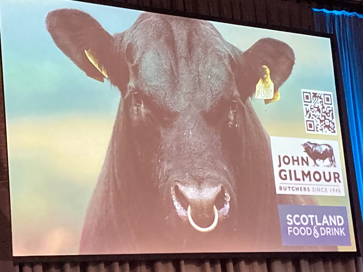 fionarichmond8's tweet photo. Great story of a family business @GilmourButchers that has weathered many storms &amp; is on a strong growth journey. Source meat from farms &amp; crofts across Scotland. Stressed importance of learning journeys to farms #SFDConference @scotfooddrink https://t.co/l1lQHb00Qk