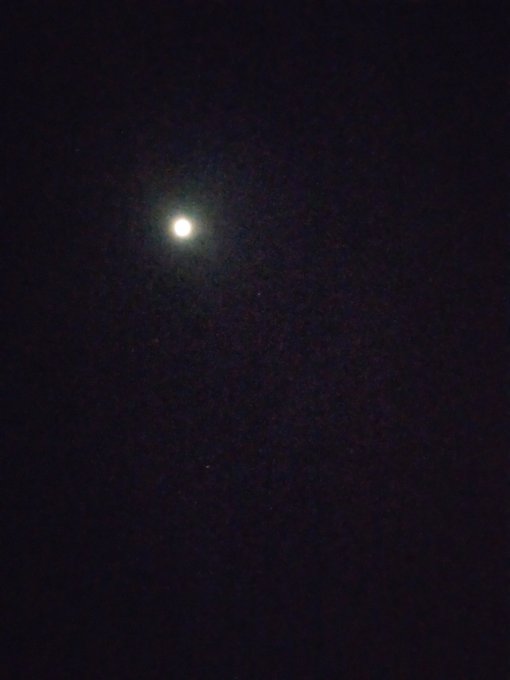 月がきれいです。 