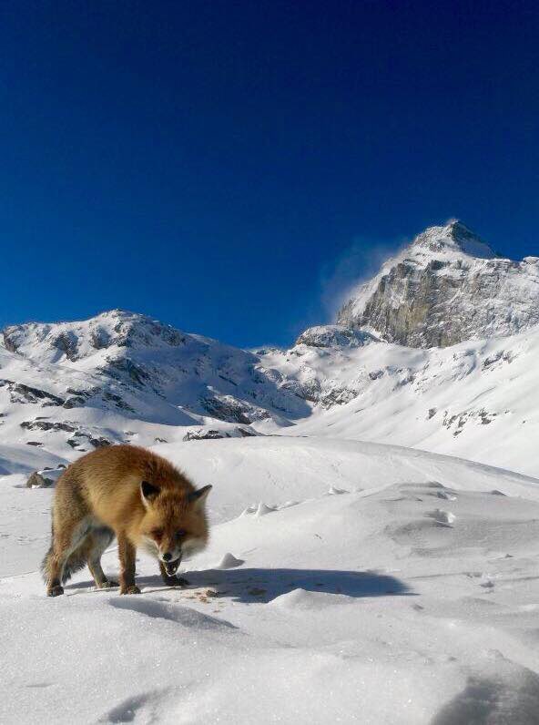 Adventure Base tweet media