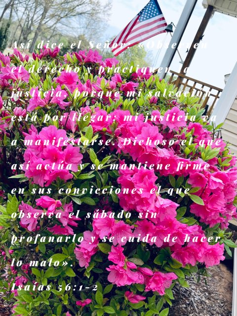 bible.com/bible/128/isa.…