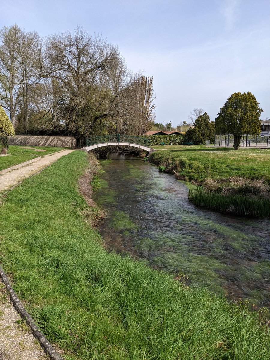 Maxime Yonnet tweet media