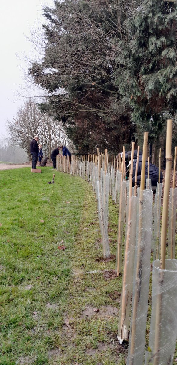Many hands made light work!  Massive thank you to the students and parents for getting stuck in this morning. We now have 840 saplings in the ground. A huge effort and all heading home for a well deserved cuppa <a href="/StJohnsSurrey/">St John's School, Leatherhead</a> 👏 #nature #wildlifehedge