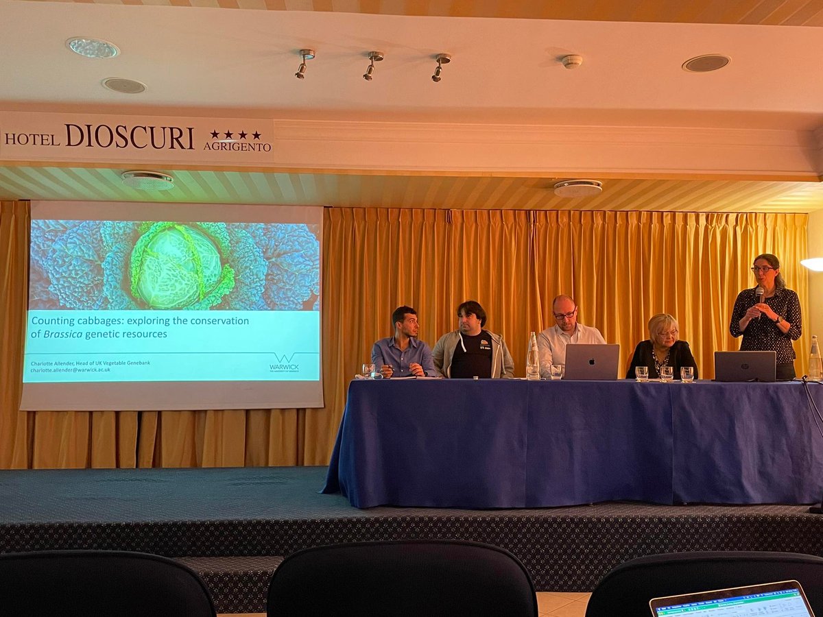 BRESOV_EU's tweet photo. #BresovEU broccoli🥦 crop group session was kicked off by the keynote speaker Charlotte Allender, University of Warwick (UK) and included several presentations by project partners sharing the key results.
#organicagriculture #research #innovation #brassica https://t.co/X1qlclYiCc