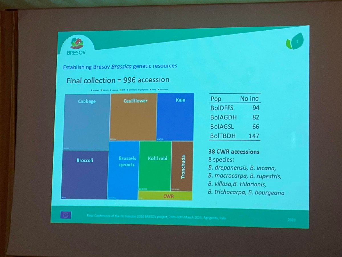 BRESOV_EU's tweet photo. #BresovEU broccoli🥦 crop group session was kicked off by the keynote speaker Charlotte Allender, University of Warwick (UK) and included several presentations by project partners sharing the key results.
#organicagriculture #research #innovation #brassica https://t.co/X1qlclYiCc