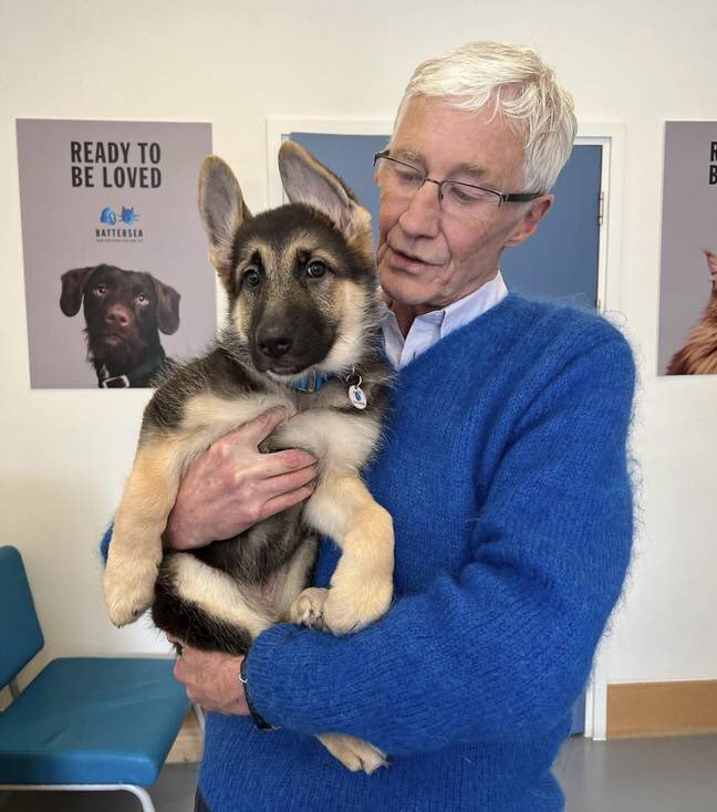 We are incredibly saddened to hear the news of the passing of Paul O’ Grady.
He was such an amazing man who’s love and passion for dogs, especially rescue dogs inspired us all. His incredible work and legacy will live on. Rest in peace Paul 💙