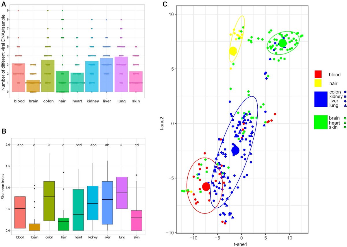 Diogo Pratas tweet media