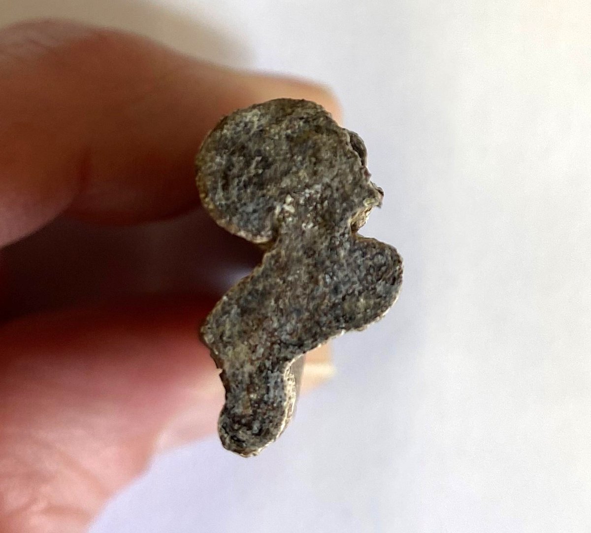This mystery object came from one of our sites in central Lincolnshire; we think it's a fossilised bone. 
Any amateur (or professional!) #palaeontologists out there who can help us solve this mystery? Is it a piece of T-Rex…?
#WhatIsItWednesday #palaeontology