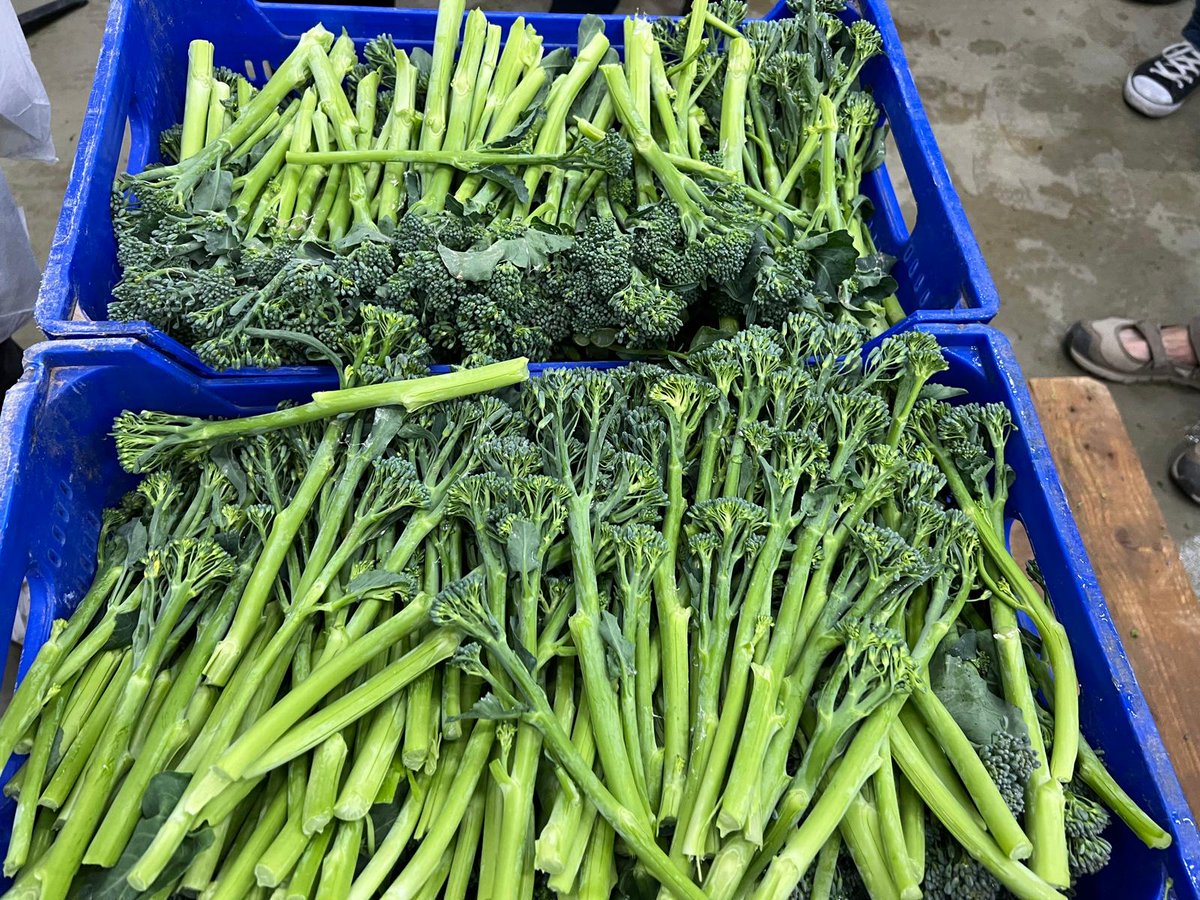 eComercioAgrario tweet media