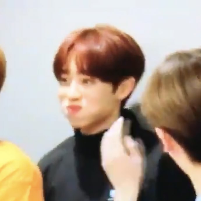 생성 tweet media