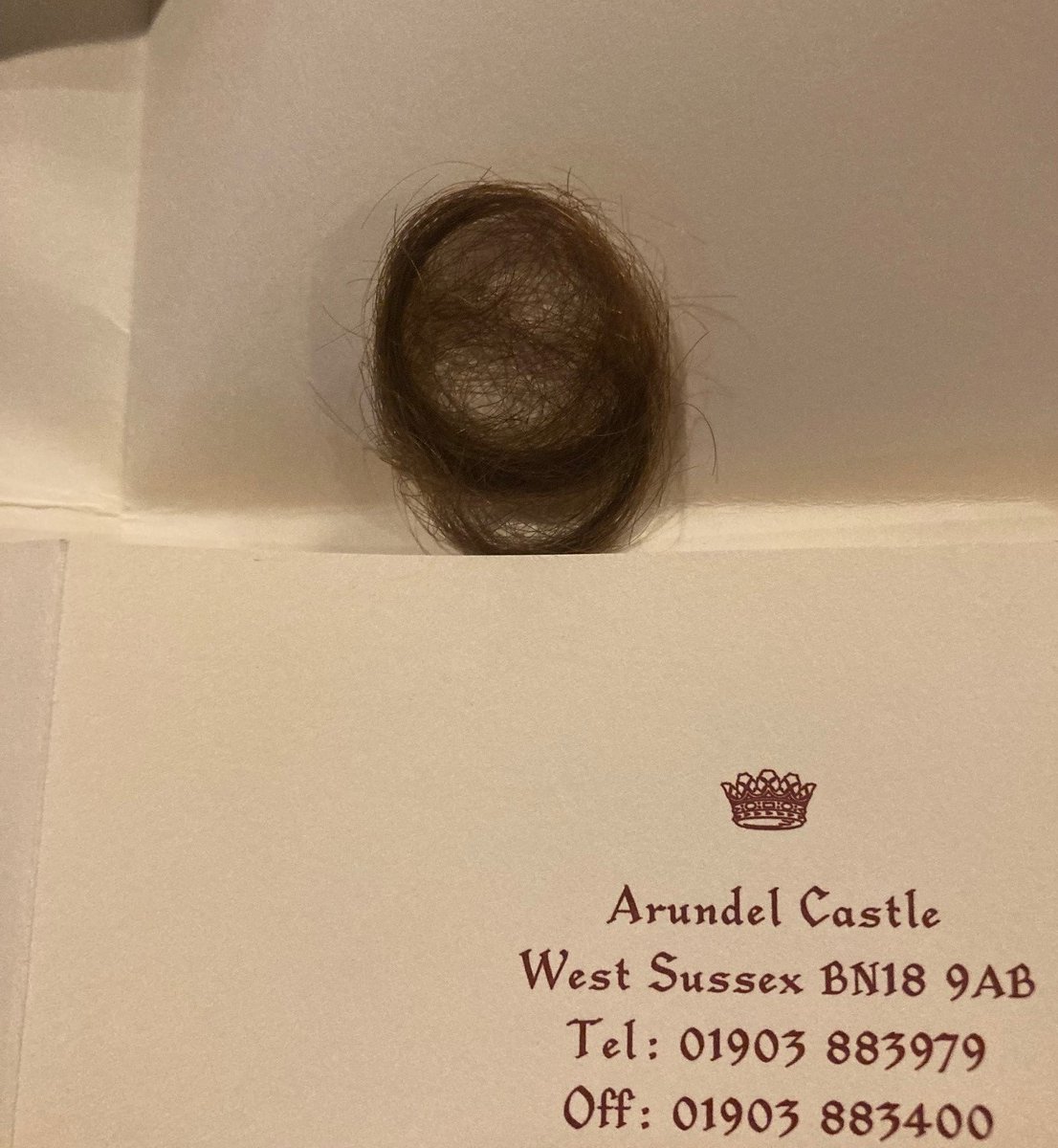 ArundelCArchive's tweet photo. Day 19 of @ARAScot #Archive30
One of the more #UnusualItems we hold here in the archive is this lock of hair, presumed to once belong to Duchess Flora, the first wife of the 15th Duke. It was found in 2014 hiding in a monogramed dressing table set in one of the castle bedrooms. https://t.co/jKzt3I2lVR