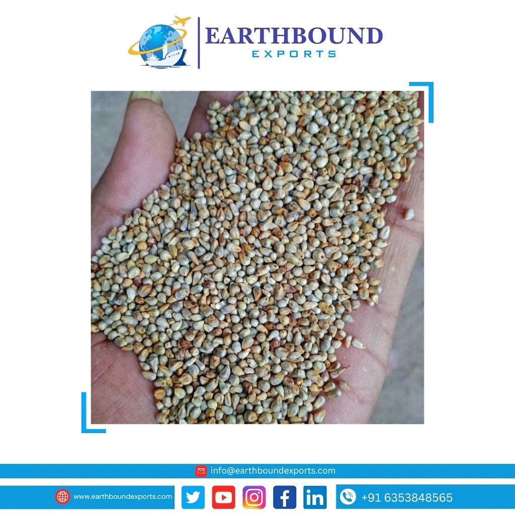 Earthbound_expo's tweet photo. 2 shipment of Green millet exports in dubai, UAE 🇦🇪 

#earthboundexports #surat #gujrat #india #exportindia #earthboundexportsindia #import #trader #freight #bussiness #dollar #cargo #rajasthan #greenmillet #government #milat #dubai #bajara #mundraport #indianfood #contactus https://t.co/WQ7Fb91ils