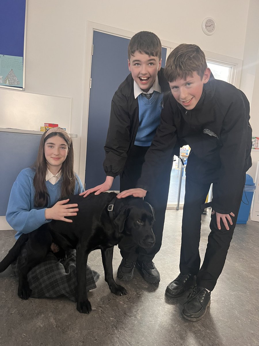 Students from Rang O Farrell enjoying some @OideKara pets! @irishguidedogs