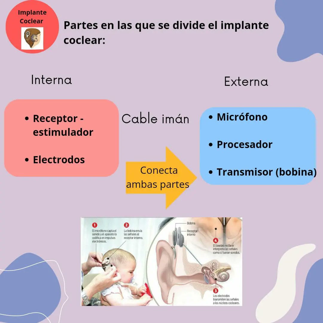 ASPASValladolid's tweet photo. ¿Las conocías? ¿Alguna  vez habías visto algunas de estas prótesis? 🤔🤔 https://t.co/I4zIKhZbNp
