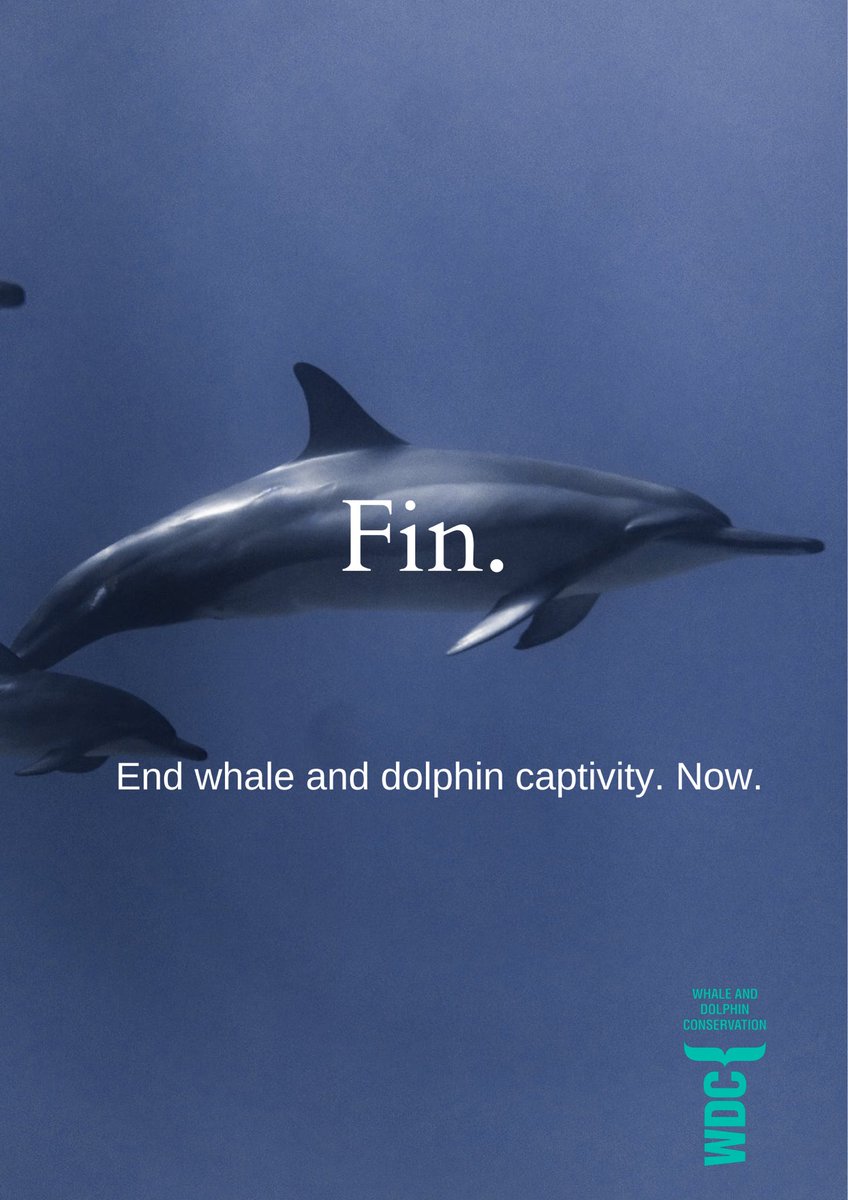 @OneMinuteBriefs One Minute Brief of the Day: 
Create posters to show that whales & dolphins shouldn't be in tanks, make people think twice before buying tickets to whale/dolphin shows & help @whalesorg #EndCaptivityForever 🐳