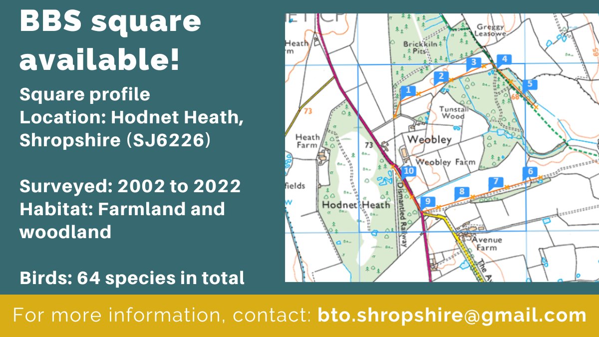 The last two of our five priority BBS/WBBS squares for 2023 are an upland site in South Shropshire and a lowland site in North Shropshire. More info in the image's ALT text. Other squares are available, perhaps near you! For more info please email bto.shropshire@gmail.com