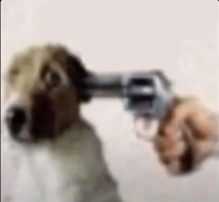 meowie.⠀ 

OOPS I QUOTED MY IRL ACCOUNT LMAO THE JUMPSCARE I GAVE MYSELF