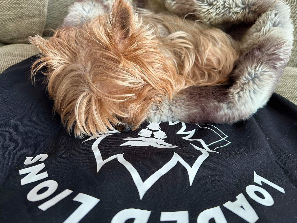 Csilla_cro's tweet photo. βIn the jungle, the mighty jungle
The lion sleeps tonightβ π¦
Have a nice day #crofam!
Drop the last picture of your #cropet from your camera scroll!
#crofam #cro #fftb @cryptocom @kris @ericnode @LoadedLions_CDC https://t.co/N3SO1Uc3G7