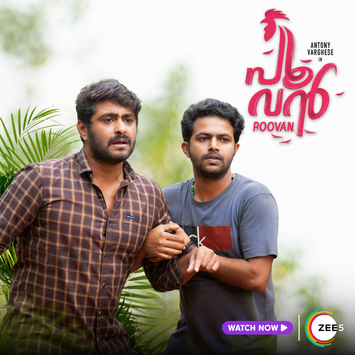 zee5malayalam's tweet photo. #Poovan - Breezy movie to boost your weekend.
.
#Poovan is now streaming On ZEE5
.
@VarghesePepe
.
#zee5 #zee5keralam #Poovanonzee5 https://t.co/HHNy3g93zF