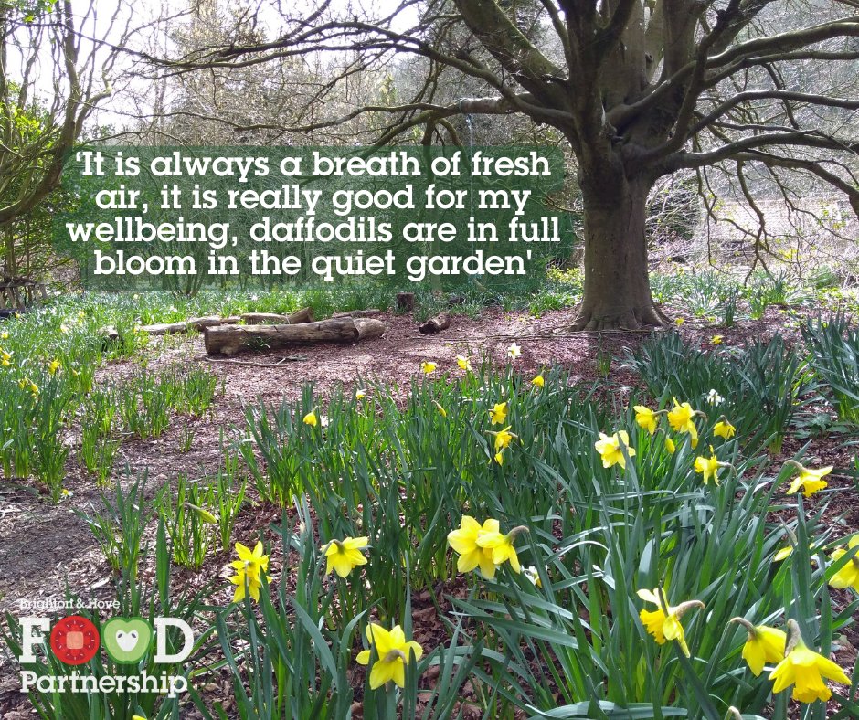 btnhovefood's tweet image. Are you looking for somewhere special to hold your next outdoor event? 🌻
 
Our Stanmer Wellbeing Gardens are now available for hire for your next nature-based event. Hiring our space directly supports our mission ✊

tinyurl.com/hirestanmer