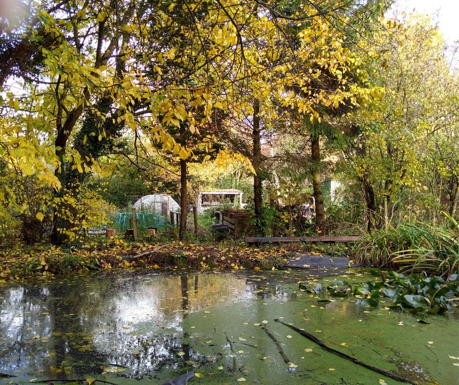 btnhovefood's tweet image. Are you looking for somewhere special to hold your next outdoor event? 🌻
 
Our Stanmer Wellbeing Gardens are now available for hire for your next nature-based event. Hiring our space directly supports our mission ✊

tinyurl.com/hirestanmer