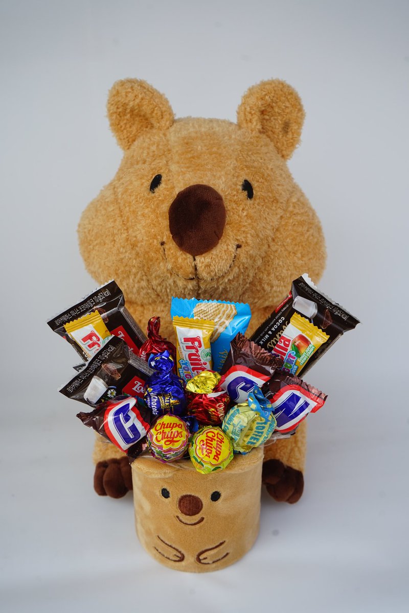 flowergiftkorea's tweet image. Hej, look at me.
Am I not that Cute?

We have a lot of new cuties stuffed toys available on our website. 

Here's our Chocolate Quokka.
This  Chocolate Quokka is very charming and cute.
This Quikka is a very cute and perfect add gift for any occasion.
#stuffedtoys #cutegift #kpop