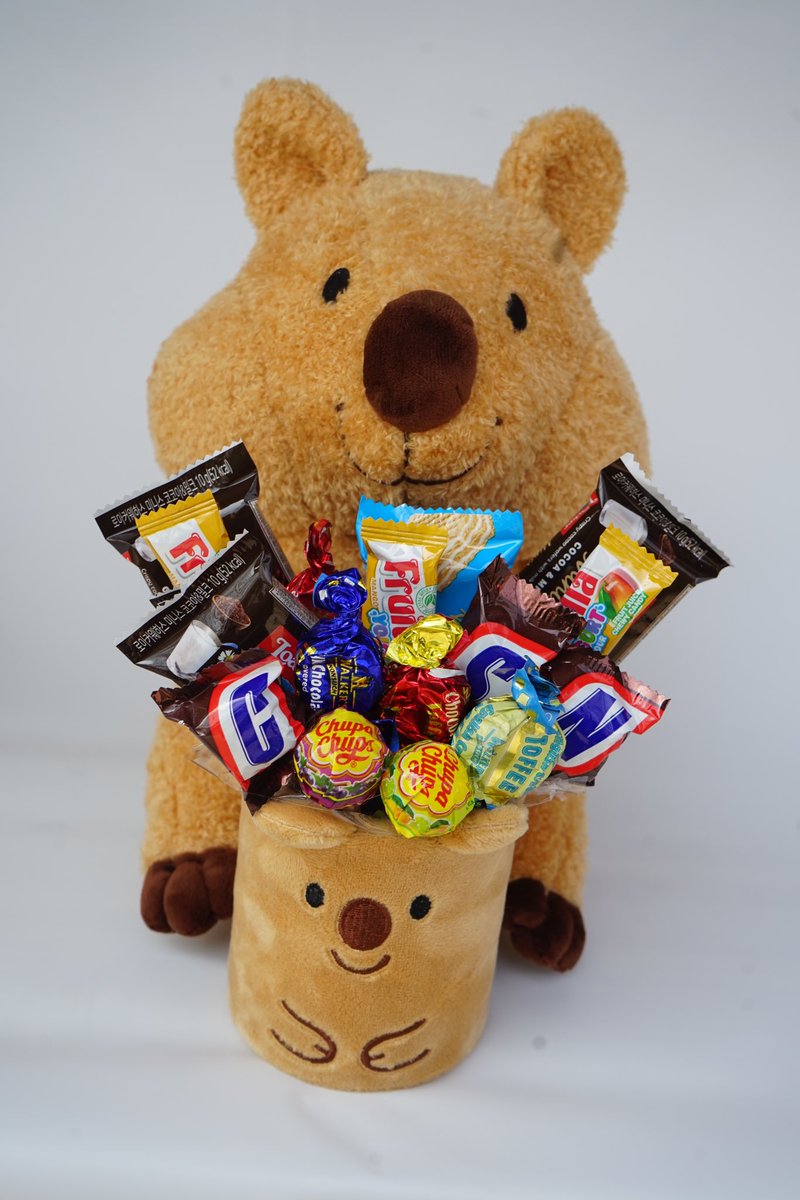 flowergiftkorea's tweet image. Hej, look at me.
Am I not that Cute?

We have a lot of new cuties stuffed toys available on our website. 

Here's our Chocolate Quokka.
This  Chocolate Quokka is very charming and cute.
This Quikka is a very cute and perfect add gift for any occasion.
#stuffedtoys #cutegift #kpop