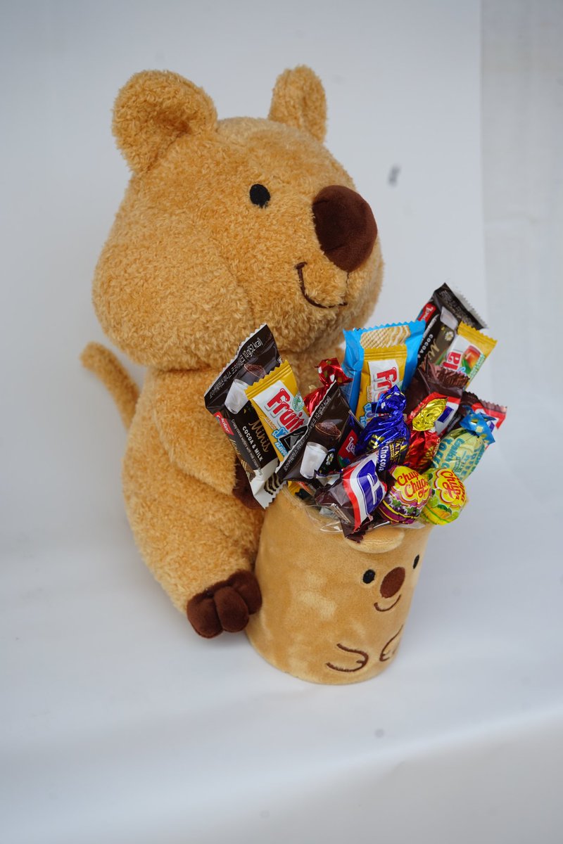 flowergiftkorea's tweet image. Hej, look at me.
Am I not that Cute?

We have a lot of new cuties stuffed toys available on our website. 

Here's our Chocolate Quokka.
This  Chocolate Quokka is very charming and cute.
This Quikka is a very cute and perfect add gift for any occasion.
#stuffedtoys #cutegift #kpop