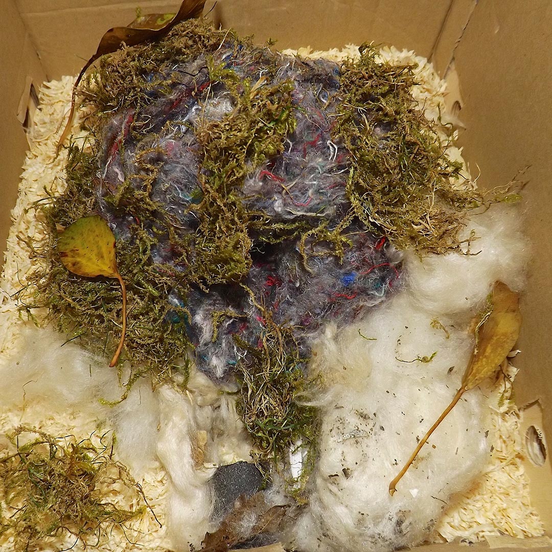 BumblebeeTrust's tweet photo. #Bumblebee nest boxes don't often get used, as queens are very picky 🐝👑 

Our volunteer Kevin, however, has found success through many years of trial and error! 

Read his NEW #BeeTheChange blog about how he's provided a variety of homes in his garden👉 https://t.co/sKCnGH63xE https://t.co/rKYp2SGMha