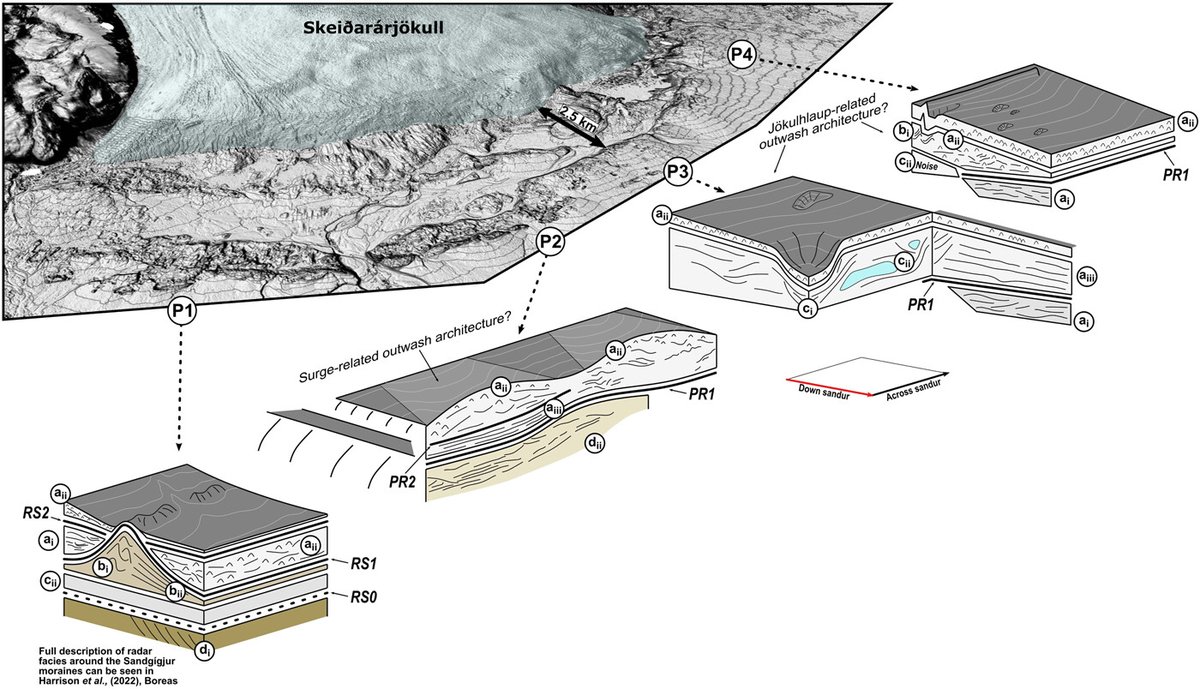Devin Harrison tweet media