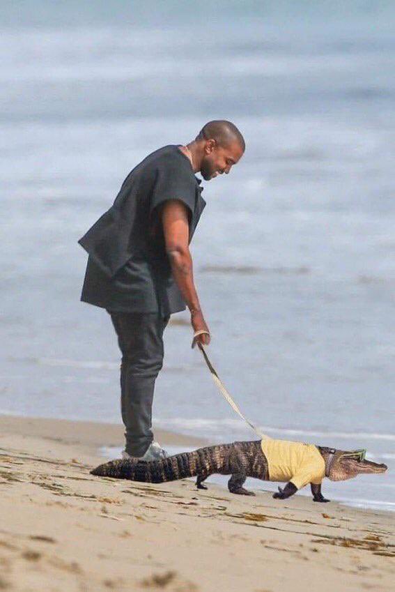 p.o.v
I’m not wasting my salary anymore!
Also me when the credit alert kicks in-
🌚