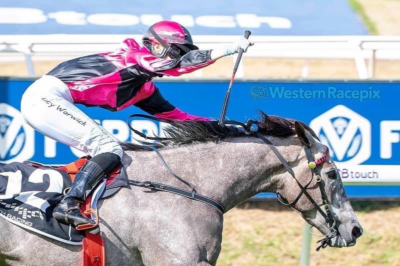 JasonMillerRace's tweet photo. Admiration Express is off for a well deserved break after winning her first race at Group 3 level in the Champion Fillies Stakes and continuing on her superb form with another win and 3 placings in black type races, all within 4 months. https://t.co/PibeCW5wTy