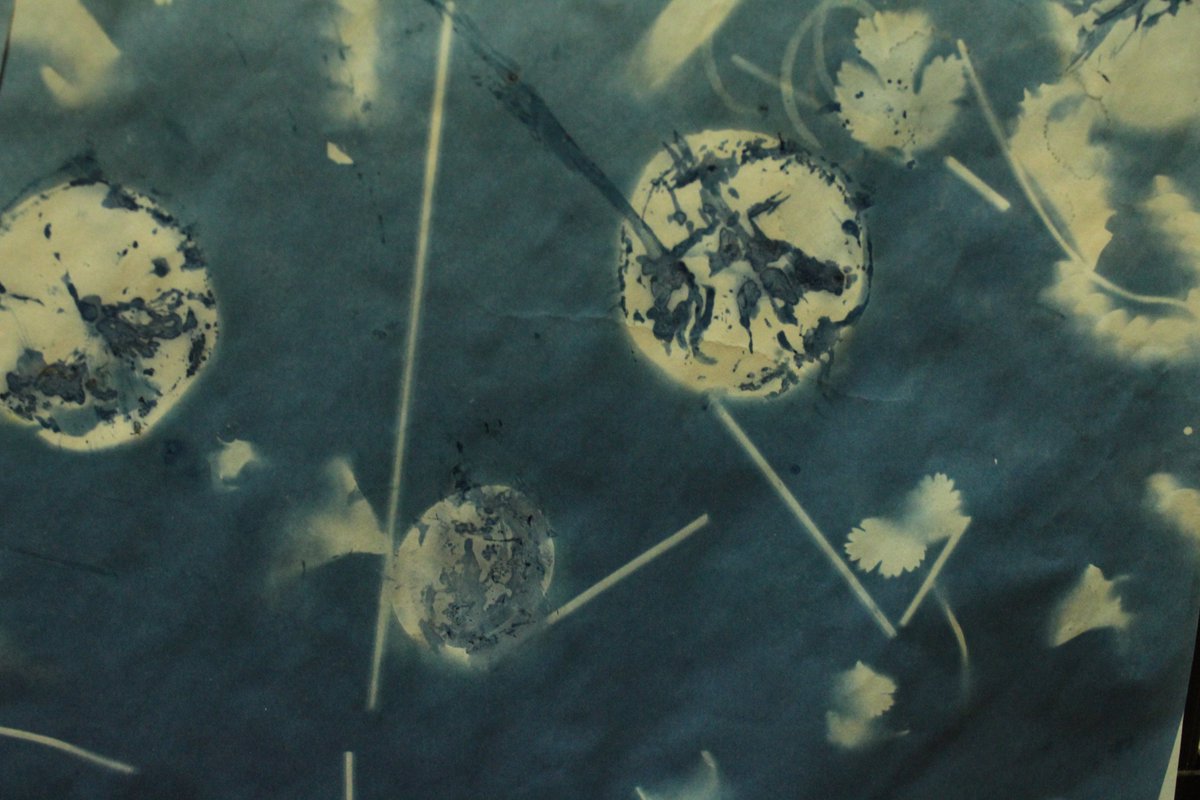 In Year 3, the children studied the work of Anna Atkins. They recreated her work by capturing pictures of plants using the cyanotype process #photography #inspired #strivingforexcellence <a href="/HornimanMuseum/">Horniman Museum and Gardens</a>